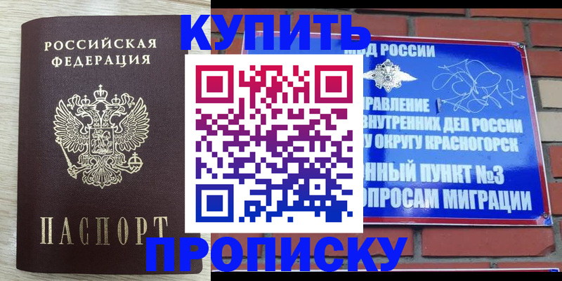 прописка гарантия в Новом Осколе